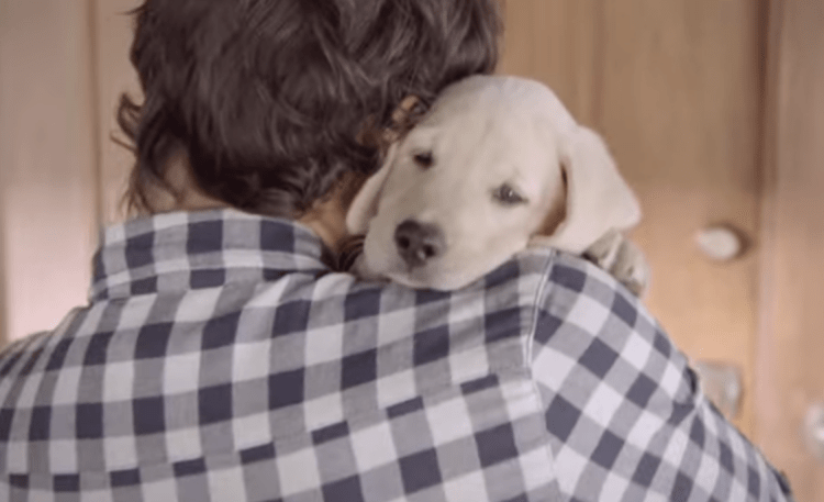 Capture d’écran 2014-09-23 à 12.47.58