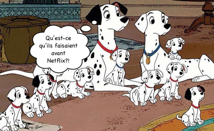 FINdalmatien